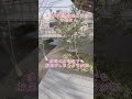 いまだに電話の終わらない#あつこお姉さん