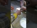 الجنبيه الخالص تمص لدغه الثعبان من الرجل الجنبيه الخالص تمص لدغه الثعبان من الرجل