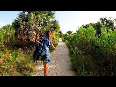 FOMOS A PRAIA VER O FENÔMENO DA AREIA DO SAARA !