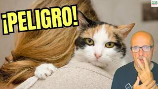 🤰🐱 DANGEROUS DISEASES THAT CATS TRANSMIT TO WOMEN 🤰🐱