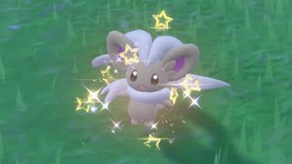 Shiny Minccino!! In Pokemon Scarlet The Indigo Disk