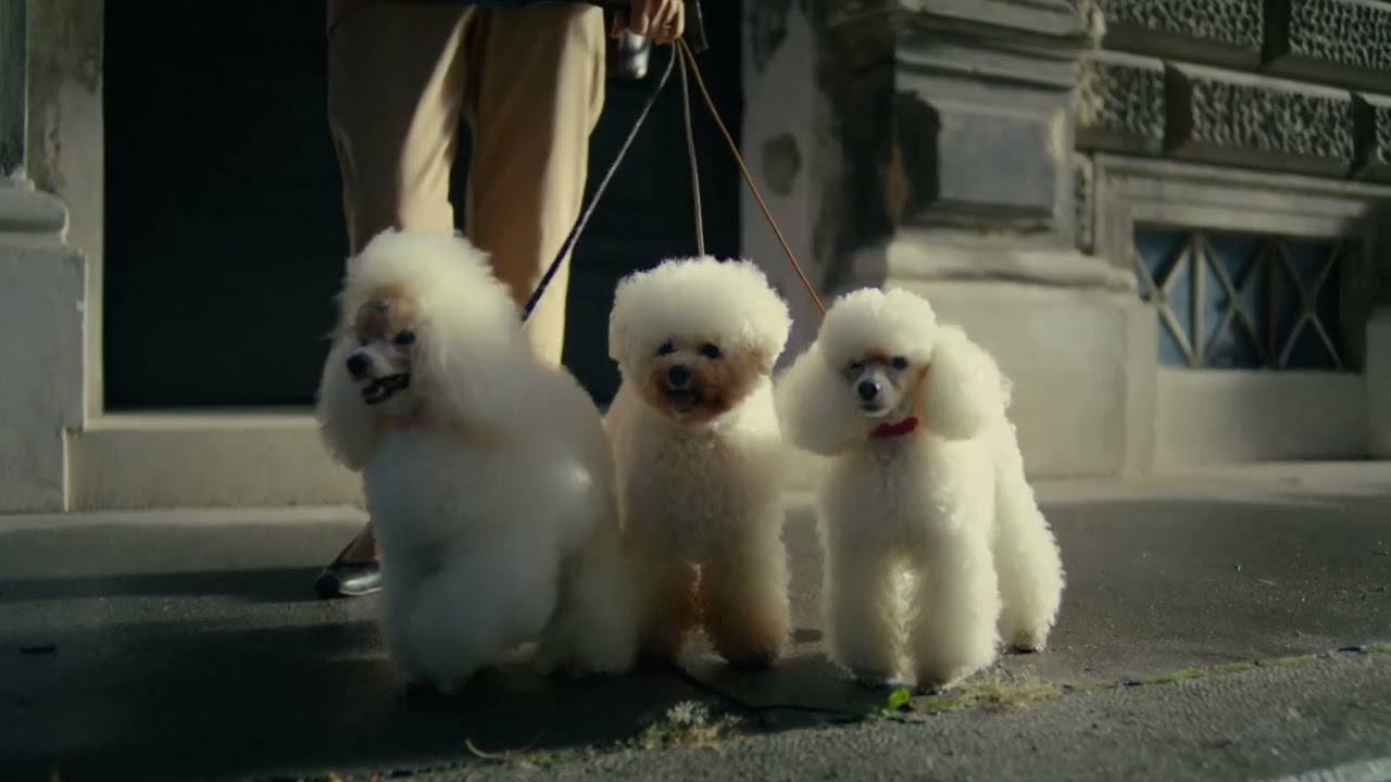 Der schnellste Weg zu deinem Paket