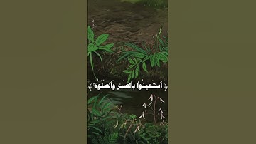 قرأن كريم سوره البقره ايه [ 153 ] القراء عبد الباسط عبد الصمد