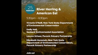 River Herring & American Eel Monitoring Webinar with South Shore Breakout Room