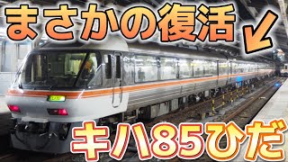 【まさかの復活】キハ85系  臨時特急ひだ82号を名古屋駅で撮影してきた！