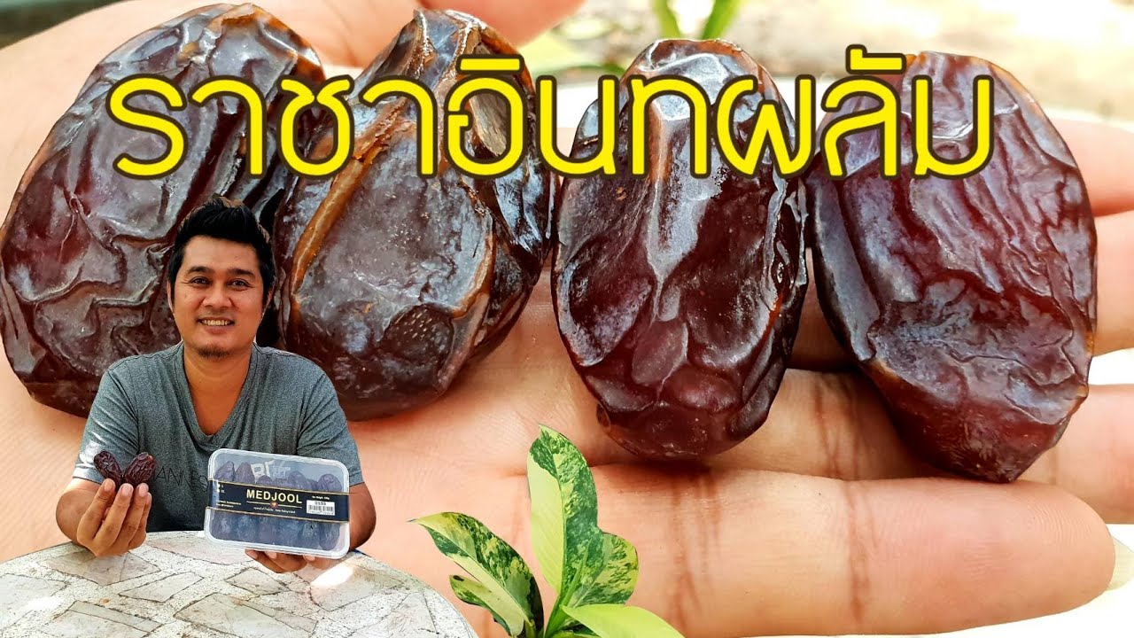 ราชาอินทผลัม เมดจูล MEDJOOL : เกษตรผสมผสาน EP.122