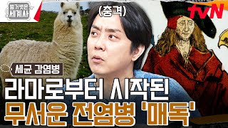 (충격 주의) 인간의 욕망이 낳은 '매독'은 라마로부터 시작이 되었다? #벌거벗은세계사 EP.140 | tvN 240227 방송
