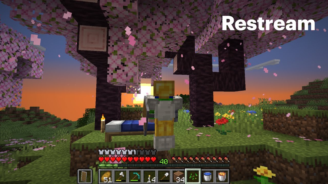 🧩Let's Play Minecraft Day 118!?!?🧩Wednesday Cartoons!?  get the chickens up with me!? 🧩