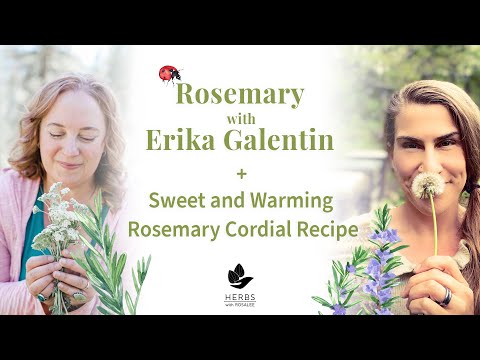 Rosemary with Erika Galentin + Sweet and Warming Rosemary Cordial Recipe