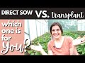 Should you DIRECT SOW or TRANSPLANT in your garden? | A comparison of 2 seed starting methods