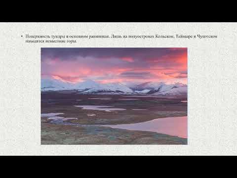 Положение на карте,  рельеф и полезные ископаемые. Зона  тундры география 7 кл
