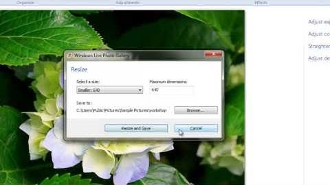 Windows Live Photo Gallery Part 1