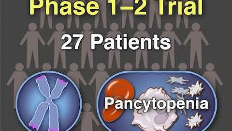 Increase of Telomere Length by a Sex Hormone