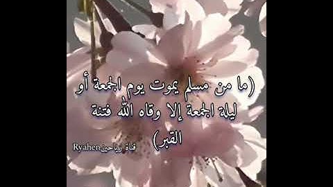 فضل يوم الجمعة الشيخ وسيم يوسف  جمعة مباركة🤍جمعة طيبة🤍فضل قراءة سورة الكهف