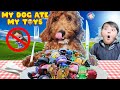 Our GOLDEN DOODLE Puppy is a MENACE!  She ate our new mini-figs! (FV Family Callie Vlog)