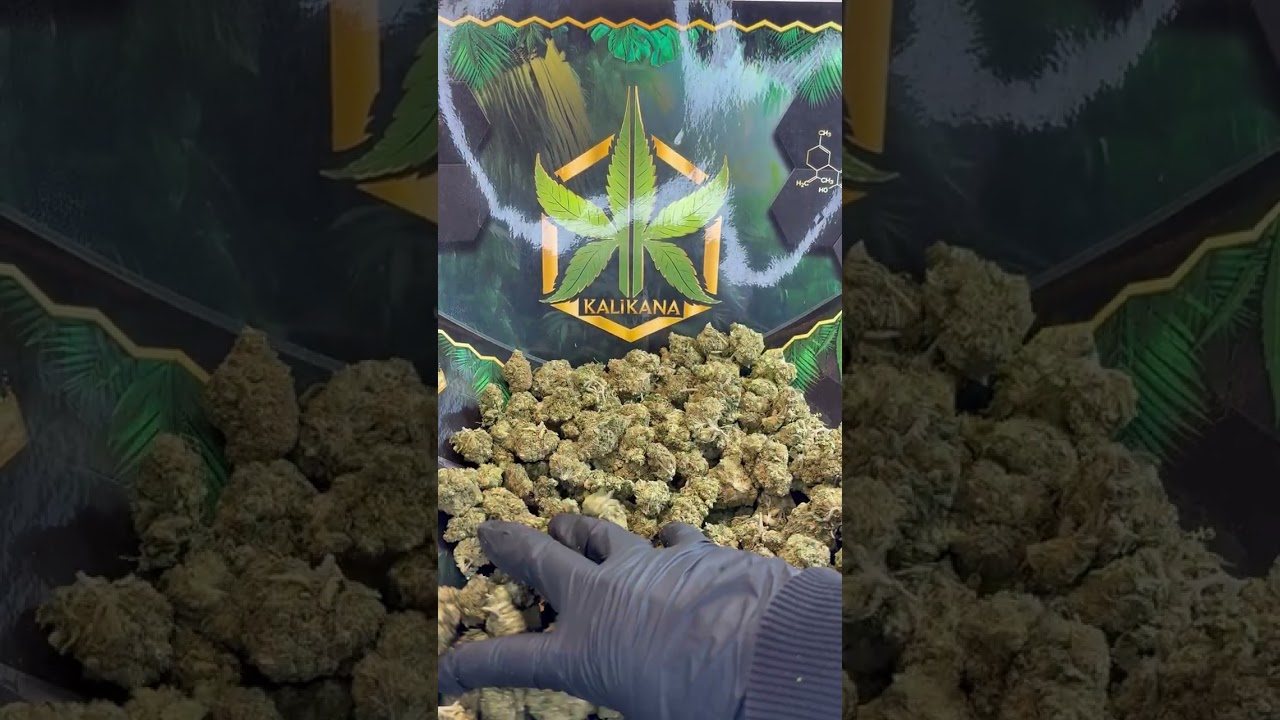 SOUR DIESEL CALI | Indoor | Citron • Terreux • Signature Diesel