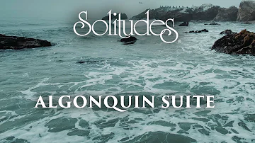 Dan Gibson’s Solitudes - Paddle and Portage | Algonquin Suite
