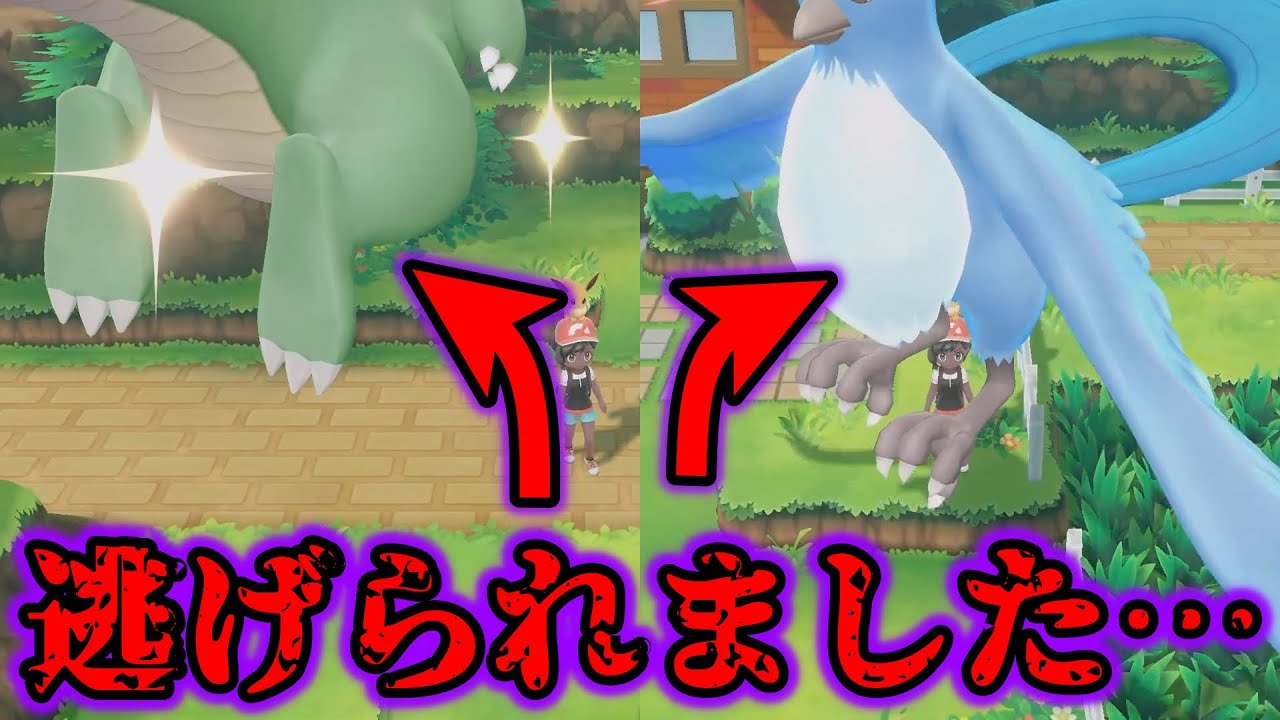 ポケモン - レイ Tragedy] I caught a super rare shiny XX and three wild birds