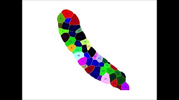 Scutoids are a geometrical solution to three-dimensional packing of epithelia