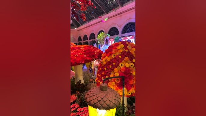 PHOTOS: 2022 Lunar New Year 'Year of the Tiger' display at Bellagio  Conservatory & Botanical Gardens – AmericaJR