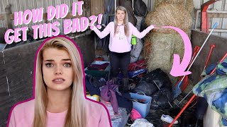 HOW did it get so MESSY? Livery Yard Spring Clean & Tidy | LilPetChannel