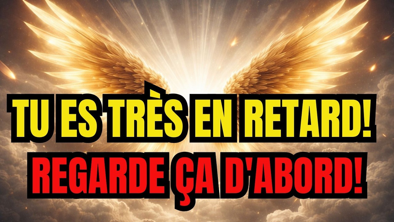 Élu(e) : Message urgent pour toi. Tu es déjà en retard. Regarde ceci immédiatement 🚨⚠️