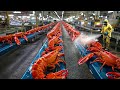 Bagaimana Nelayan Menangkap Jutaan Lobster Merah Setiap Hari