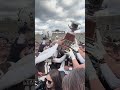 Patriot League Top Moments of 2024: Lehigh football wins 13th title