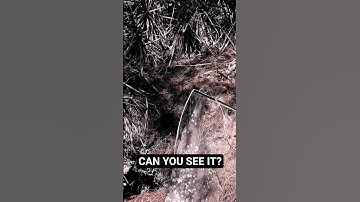 Ancient Symbols and Secret Structures Discovered!