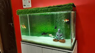 Goldfish Kingdom Aquarium Setup | Oranda and Ranchu Goldfish tank with Green Grass Background screenshot 5