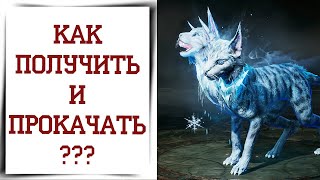 картинка: Амальгамные питомцы Diablo Immortal ГАЙД