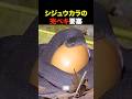 防犯ガチ勢すぎる鳥