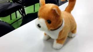 [MOPCON 2013] Linghtning Talk 的寵物狗
