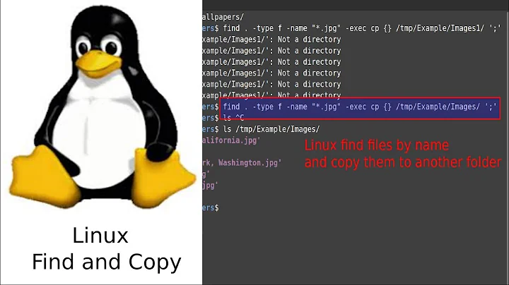 Linux combine find and copy commands
