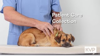 Veterinary Patient Care | KVP International Catalog