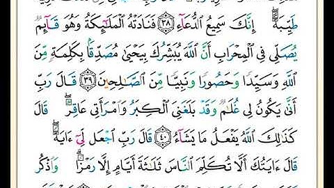 ختمة مصحف التجويد برواية حفص بصوت القارئ محمد حبش الصفحة رقم 55