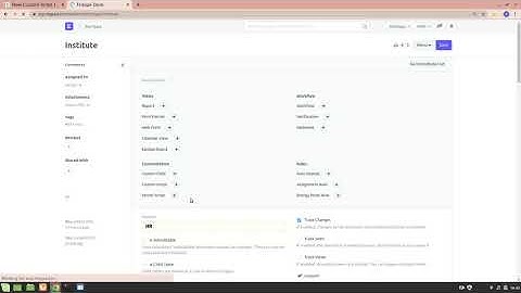 Custom Script in ERPNext