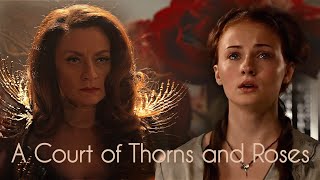 ► Luminary - A Court of Thorns and Roses (Acotar Concept)