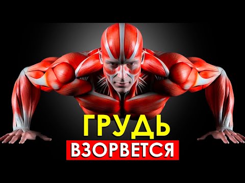 Отжимания КАЖДЫЙ ДЕНЬ в Течение 30 Дней (Как Трансформируется Тело)