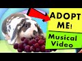 Rabbit adoption musical  a rabbits tale of pure imagination