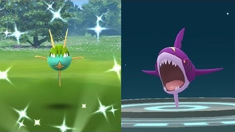 WE CAUGHT SHINY CARVANHA! POKEMON GO SHINY CARVANHA EVOLVES INTO SHINY SHARPEDO!