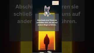 🌅 Abschiede öffnen neue Wege | Inspirierender Spruch zum Nachdenken