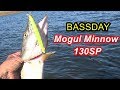 BASSDAY Mogul Minnow 130SP и щука.Pike Fishing.