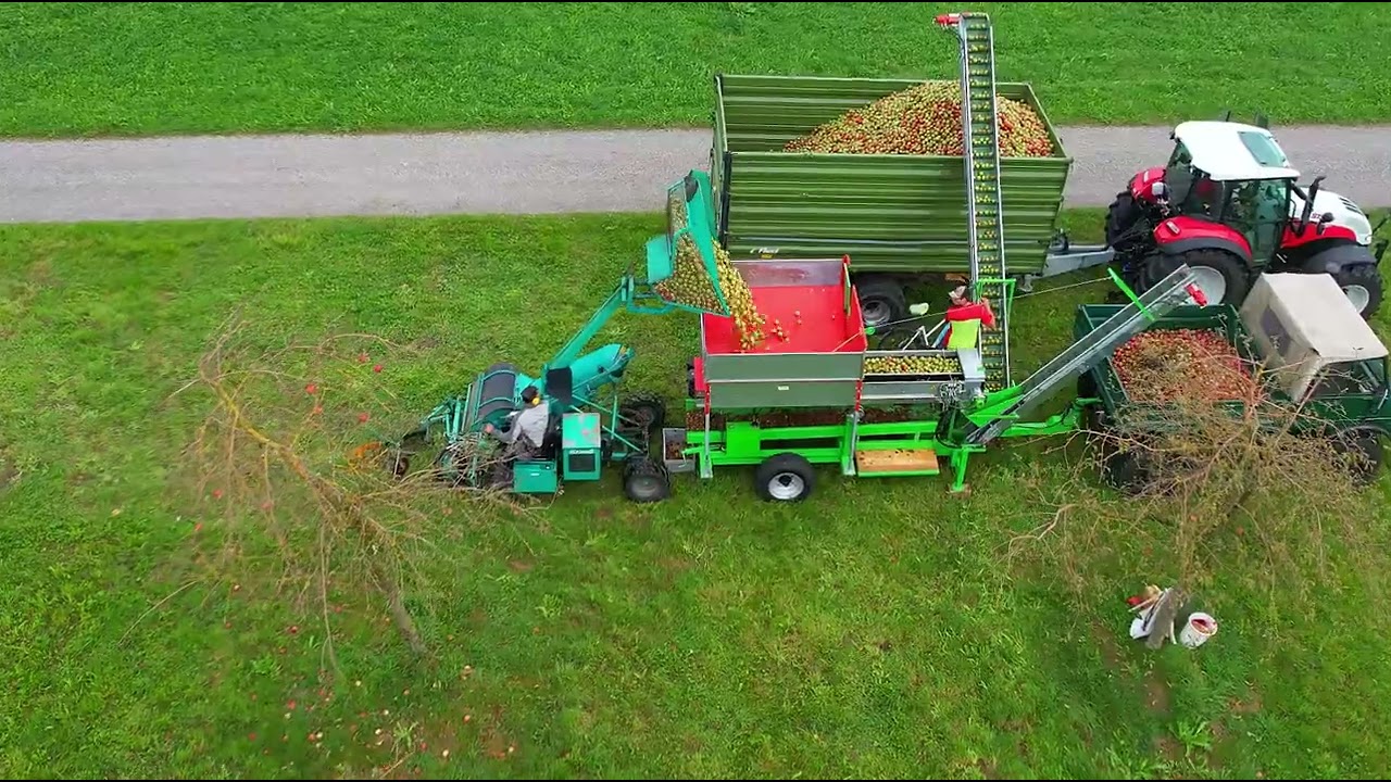 Eigenbau Obst-Sortieranlage Spezialausführung im Einsatz