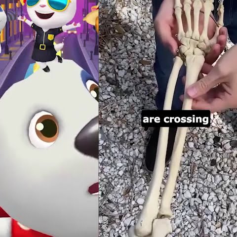 I'm Never Moving My Arms Again mp4