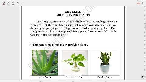Class 2 EVS Worksheet solution Week 4 (23/6/21)