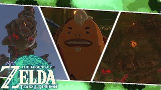 Fire Temple Boss Fight: Moragia & Marbled Gohma - The Legend of Zelda: Tears of the Kingdom