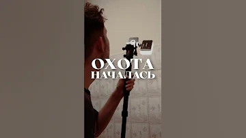 Мой новый сосед – Паук охотник