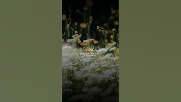 ماتيسر من سورة النبأ للقارئ الشيخ أحمد النفيس♥️🌿