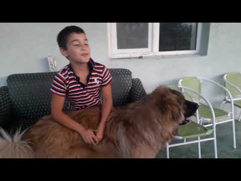 გადაყრა-გადასხმა!!!